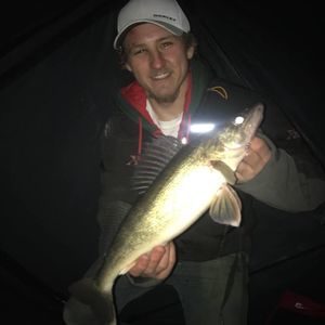 Meet your Posher, Shane